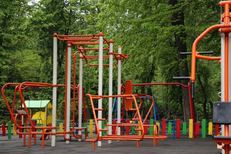 Monkey Bars Installation in Conroe, TX